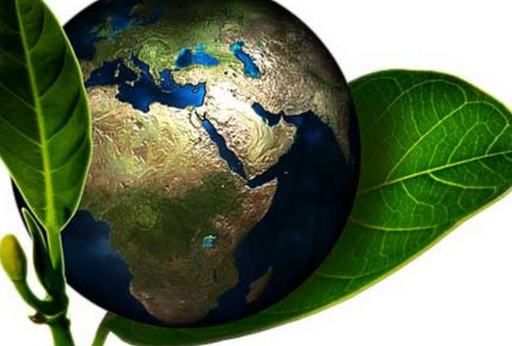 How going Green can save you money and save your planet